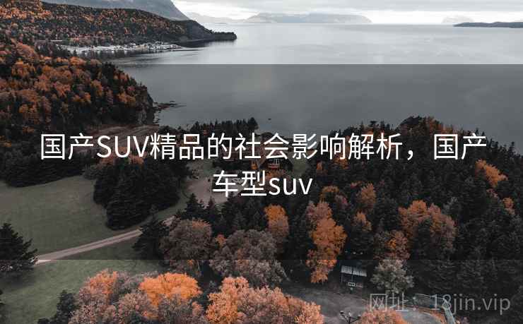 国产SUV精品的社会影响解析,国产车型suv