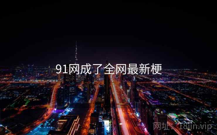 91网成了全网最新梗